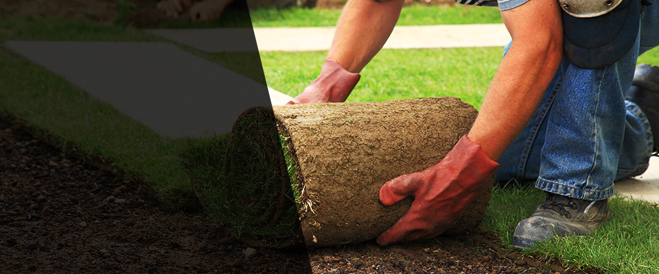 Bismarck Landscapers